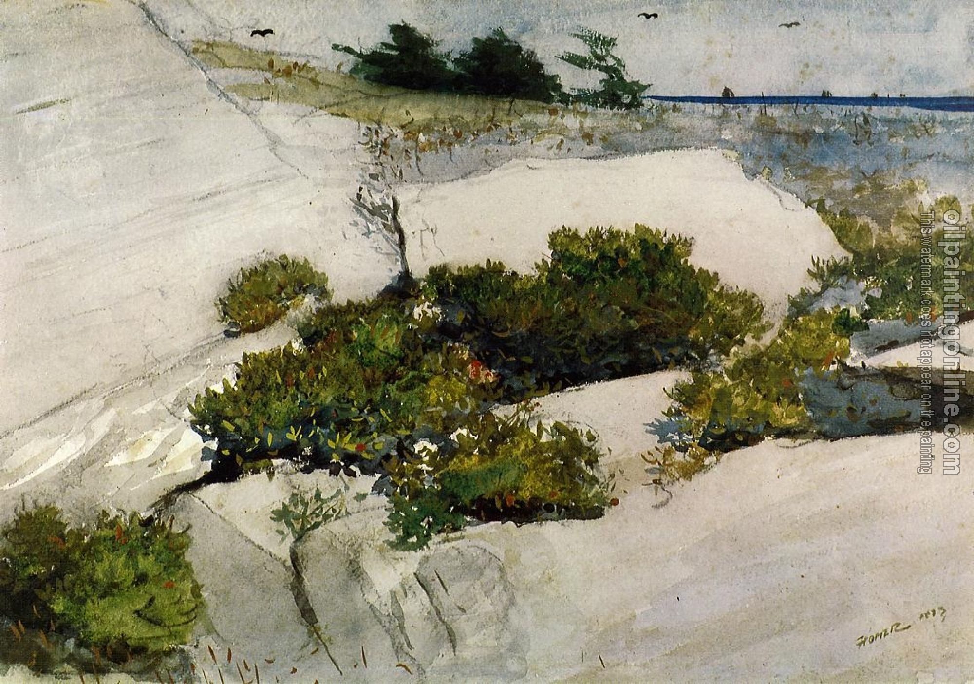 Homer, Winslow - Maine Cliffs